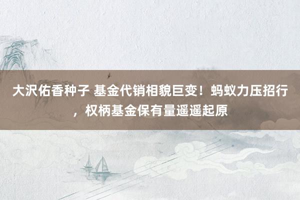 大沢佑香种子 基金代销相貌巨变！蚂蚁力压招行，权柄基金保有量遥遥起原