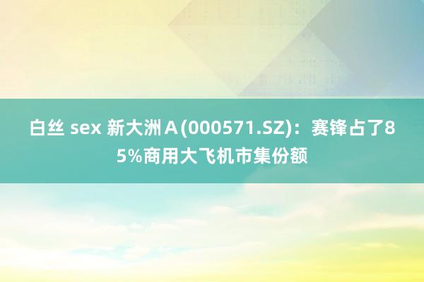 白丝 sex 新大洲Ａ(000571.SZ)：赛锋占了85%商用大飞机市集份额