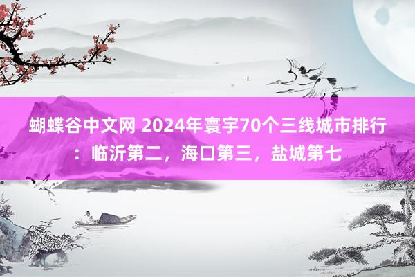 蝴蝶谷中文网 2024年寰宇70个三线城市排行：临沂第二，海口第三，盐城第七
