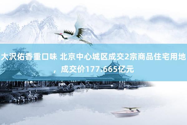 大沢佑香重口味 北京中心城区成交2宗商品住宅用地，成交价177.665亿元