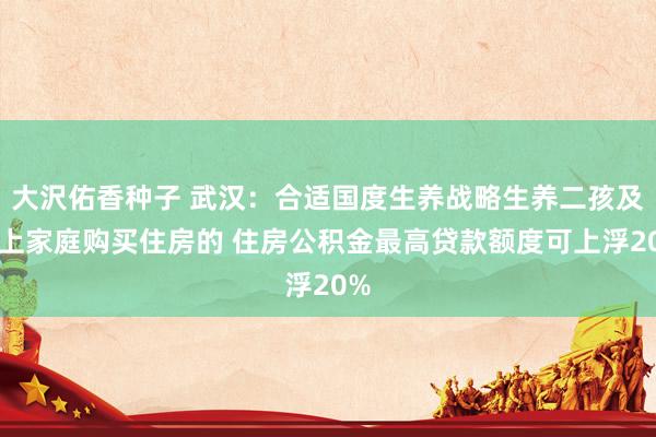 大沢佑香种子 武汉：合适国度生养战略生养二孩及以上家庭购买住房的 住房公积金最高贷款额度可上浮20%