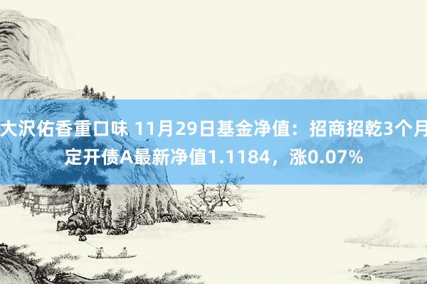 大沢佑香重口味 11月29日基金净值：招商招乾3个月定开债A最新净值1.1184，涨0.07%