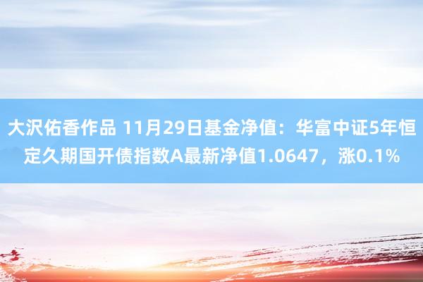 大沢佑香作品 11月29日基金净值：华富中证5年恒定久期国开债指数A最新净值1.0647，涨0.1%