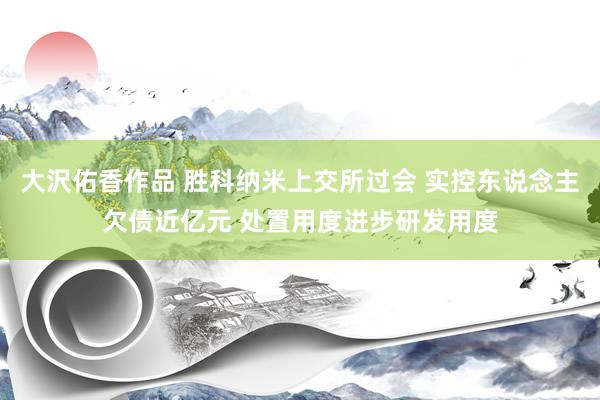 大沢佑香作品 胜科纳米上交所过会 实控东说念主欠债近亿元 处置用度进步研发用度