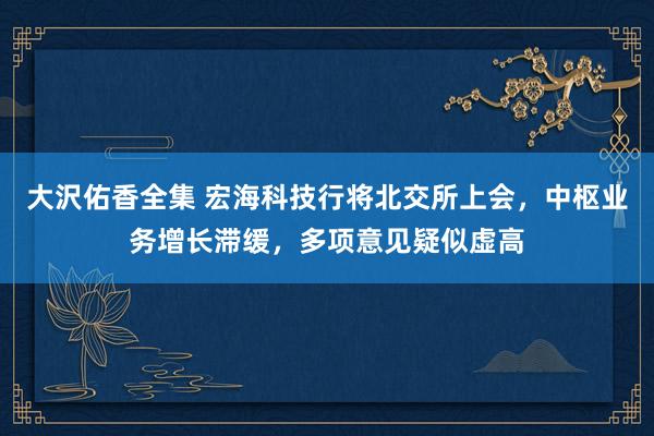 大沢佑香全集 宏海科技行将北交所上会，中枢业务增长滞缓，多项意见疑似虚高