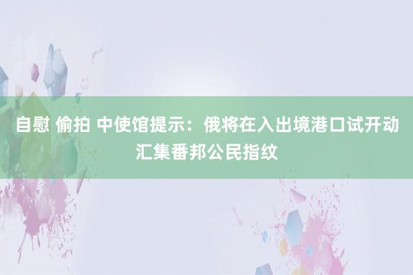 自慰 偷拍 中使馆提示：俄将在入出境港口试开动汇集番邦公民指纹