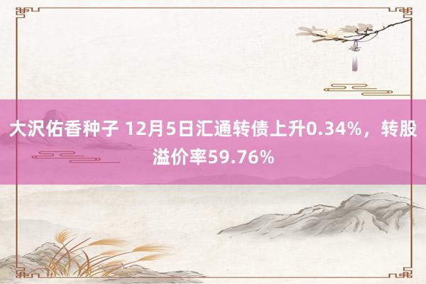 大沢佑香种子 12月5日汇通转债上升0.34%，转股溢价率59.76%