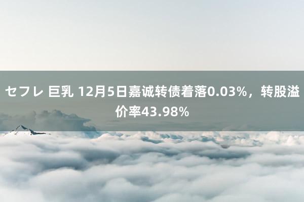 セフレ 巨乳 12月5日嘉诚转债着落0.03%，转股溢价率43.98%