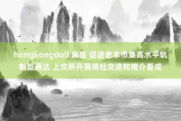 hongkongdoll 麻豆 促进老本市集高水平轨制型通达 上交所开展境社交流和推介看成