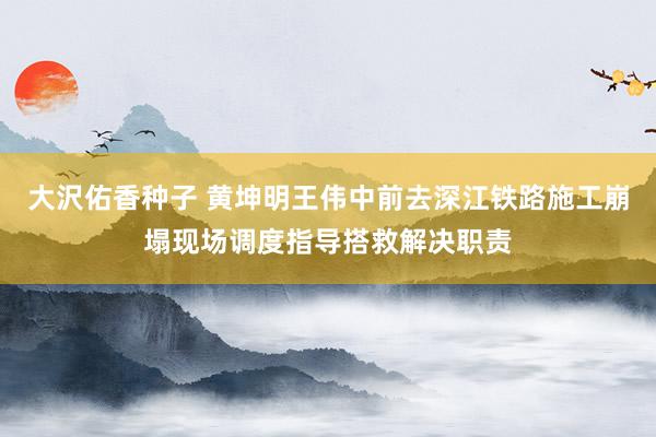 大沢佑香种子 黄坤明王伟中前去深江铁路施工崩塌现场调度指导搭救解决职责
