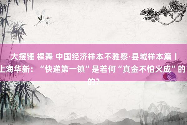 大摆锤 裸舞 中国经济样本不雅察·县域样本篇丨上海华新：“快递第一镇”是若何“真金不怕火成”的？