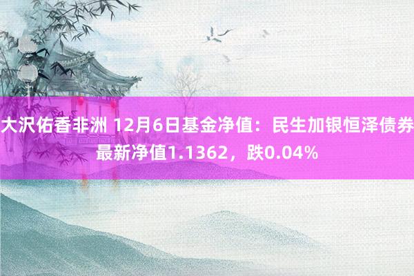 大沢佑香非洲 12月6日基金净值：民生加银恒泽债券最新净值1.1362，跌0.04%