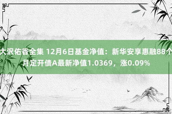 大沢佑香全集 12月6日基金净值：新华安享惠融88个月定开债A最新净值1.0369，涨0.09%