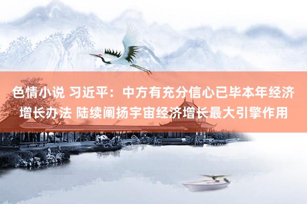 色情小说 习近平：中方有充分信心已毕本年经济增长办法 陆续阐扬宇宙经济增长最大引擎作用
