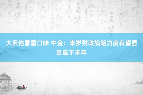 大沢佑香重口味 中金：来岁财政战略力度有望显贵高于本年