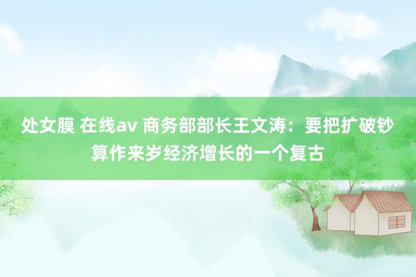 处女膜 在线av 商务部部长王文涛：要把扩破钞算作来岁经济增长的一个复古