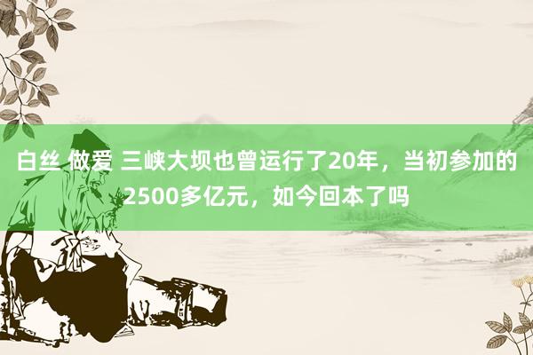 白丝 做爱 三峡大坝也曾运行了20年，当初参加的2500多亿元，如今回本了吗