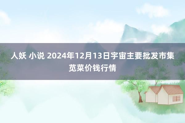 人妖 小说 2024年12月13日宇宙主要批发市集苋菜价钱行情