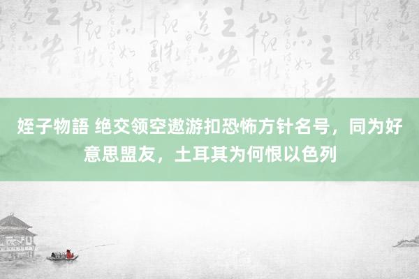 姪子物語 绝交领空遨游扣恐怖方针名号，同为好意思盟友，土耳其为何恨以色列
