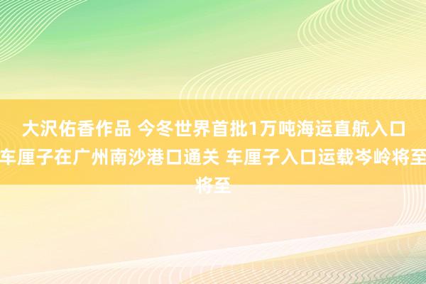 大沢佑香作品 今冬世界首批1万吨海运直航入口车厘子在广州南沙港口通关 车厘子入口运载岑岭将至