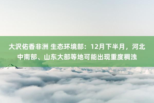 大沢佑香非洲 生态环境部：12月下半月，河北中南部、山东大部等地可能出现重度稠浊
