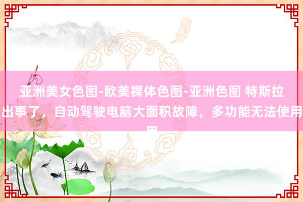 亚洲美女色图-欧美裸体色图-亚洲色图 特斯拉出事了，自动驾驶电脑大面积故障，多功能无法使用