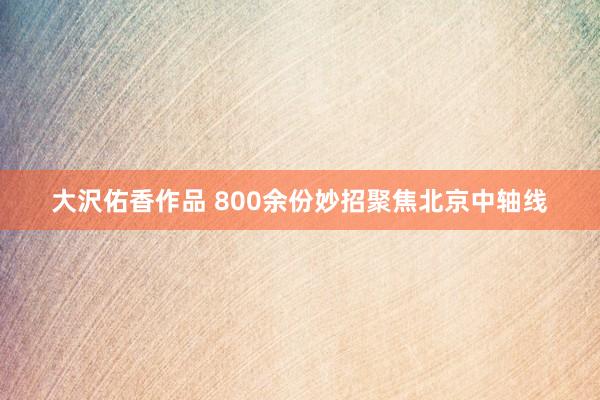 大沢佑香作品 800余份妙招聚焦北京中轴线