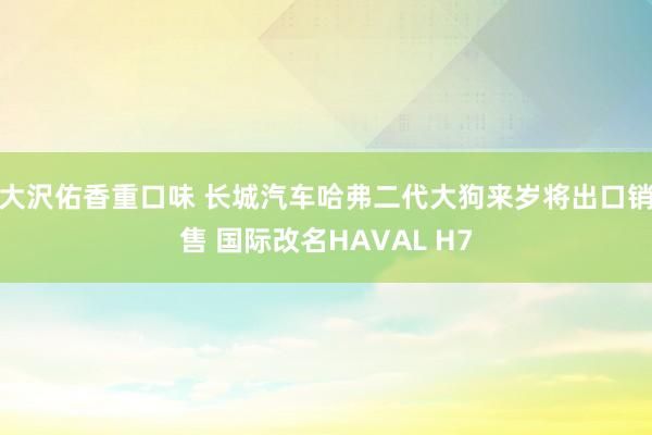大沢佑香重口味 长城汽车哈弗二代大狗来岁将出口销售 国际改名HAVAL H7