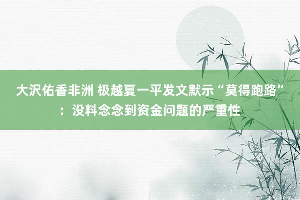 大沢佑香非洲 极越夏一平发文默示“莫得跑路”：没料念念到资金问题的严重性