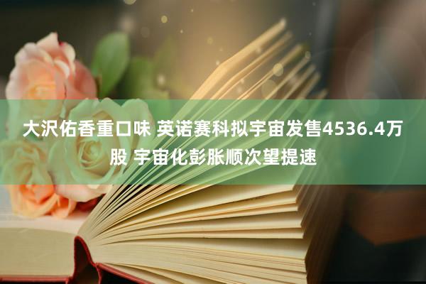 大沢佑香重口味 英诺赛科拟宇宙发售4536.4万股 宇宙化彭胀顺次望提速