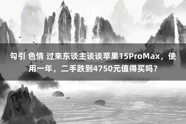 勾引 色情 过来东谈主谈谈苹果15ProMax，使用一年，二手跌到4750元值得买吗？