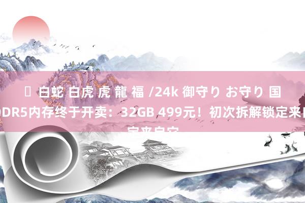 ✨白蛇 白虎 虎 龍 福 /24k 御守り お守り 国产DDR5内存终于开卖：32GB 499元！初次拆解锁定来自它