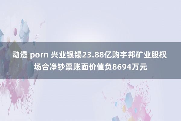动漫 porn 兴业银锡23.88亿购宇邦矿业股权 场合净钞票账面价值负8694万元