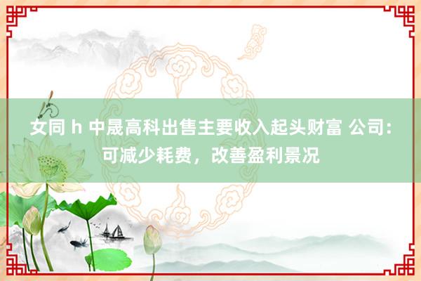 女同 h 中晟高科出售主要收入起头财富 公司：可减少耗费，改善盈利景况