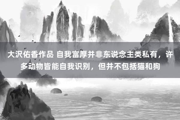 大沢佑香作品 自我富厚并非东说念主类私有，许多动物皆能自我识别，但并不包括猫和狗