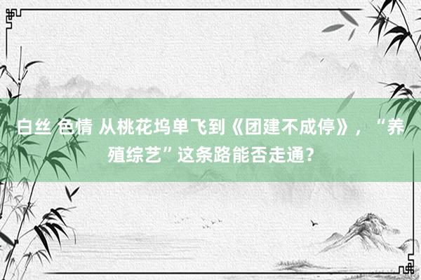 白丝 色情 从桃花坞单飞到《团建不成停》，“养殖综艺”这条路能否走通？