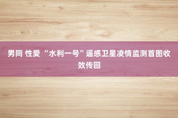 男同 性愛 “水利一号”遥感卫星凌情监测首图收效传回