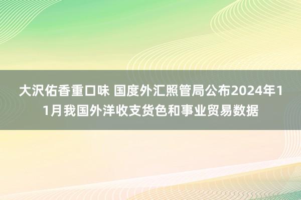 大沢佑香重口味 国度外汇照管局公布2024年11月我国外洋收支货色和事业贸易数据