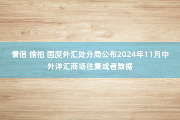 情侣 偷拍 国度外汇处分局公布2024年11月中外洋汇商场往复或者数据
