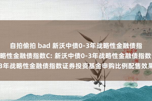 自拍偷拍 bad 新沃中债0-3年战略性金融债指数A，新沃中债0-3年战略性金融债指数C: 新沃中债0-3年战略性金融债指数证券投资基金申购比例配售效果的公告