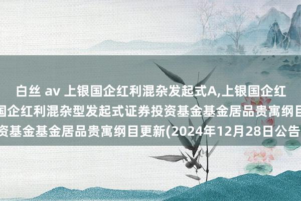白丝 av 上银国企红利混杂发起式A,上银国企红利混杂发起式C: 上银国企红利混杂型发起式证券投资基金基金居品贵寓纲目更新(2024年12月28日公告)