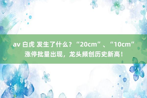 av 白虎 发生了什么？“20cm”、“10cm”涨停批量出现，龙头频创历史新高！
