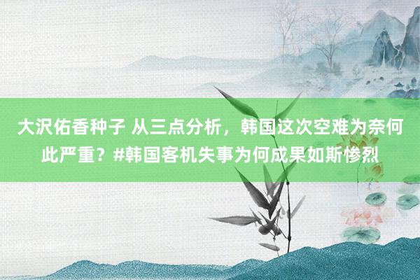 大沢佑香种子 从三点分析，韩国这次空难为奈何此严重？#韩国客机失事为何成果如斯惨烈