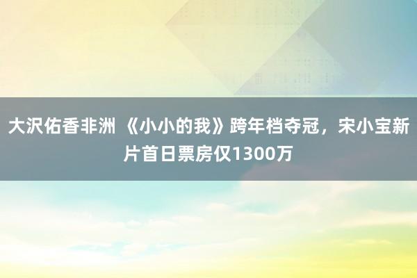大沢佑香非洲 《小小的我》跨年档夺冠，宋小宝新片首日票房仅1300万
