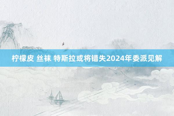 柠檬皮 丝袜 特斯拉或将错失2024年委派见解