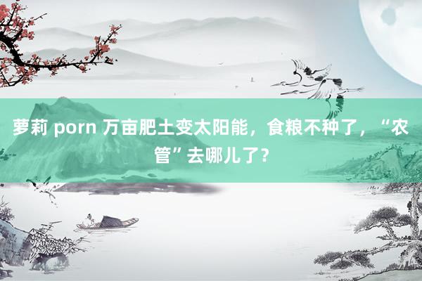 萝莉 porn 万亩肥土变太阳能，食粮不种了，“农管”去哪儿了？