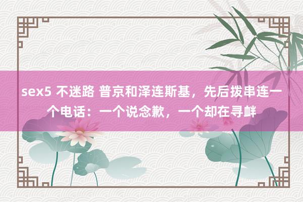 sex5 不迷路 普京和泽连斯基，先后拨串连一个电话：一个说念歉，一个却在寻衅