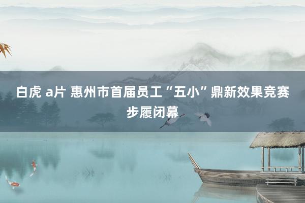 白虎 a片 惠州市首届员工“五小”鼎新效果竞赛步履闭幕