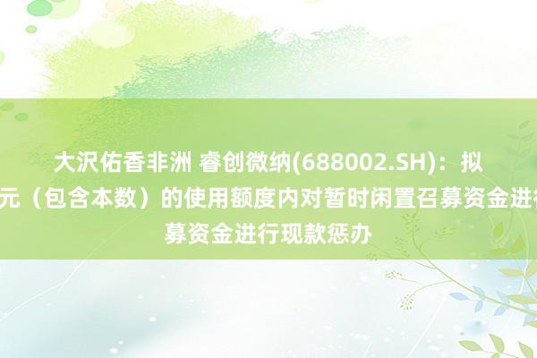 大沢佑香非洲 睿创微纳(688002.SH)：拟在不超6亿元（包含本数）的使用额度内对暂时闲置召募资金进行现款惩办