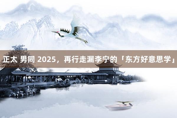 正太 男同 2025，再行走漏李宁的「东方好意思学」